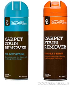 Carpet stain remover