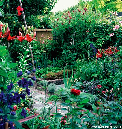 Colourful garden