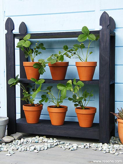 Outdoor planter rack