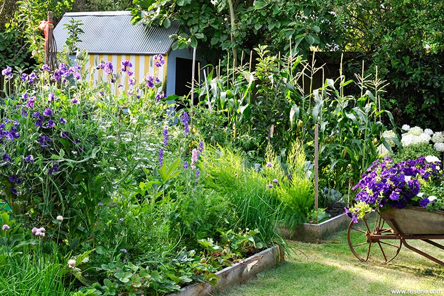 Potager garden