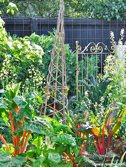 Vege garden