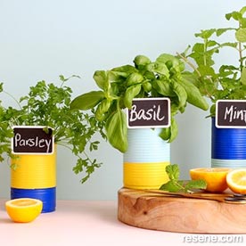 Make cans into handy herb holders