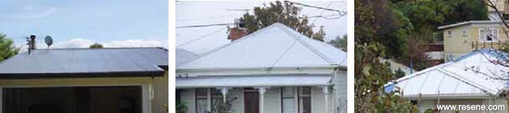 Painting roofs-New galvanised/Zincalume