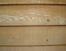 Plywood weathering