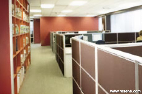 Red and purple office cubicles