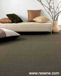 How to choose the right flooring and carpet for your home