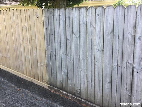 Cleaning a timber fence with Resene Timber and Deck Wash
