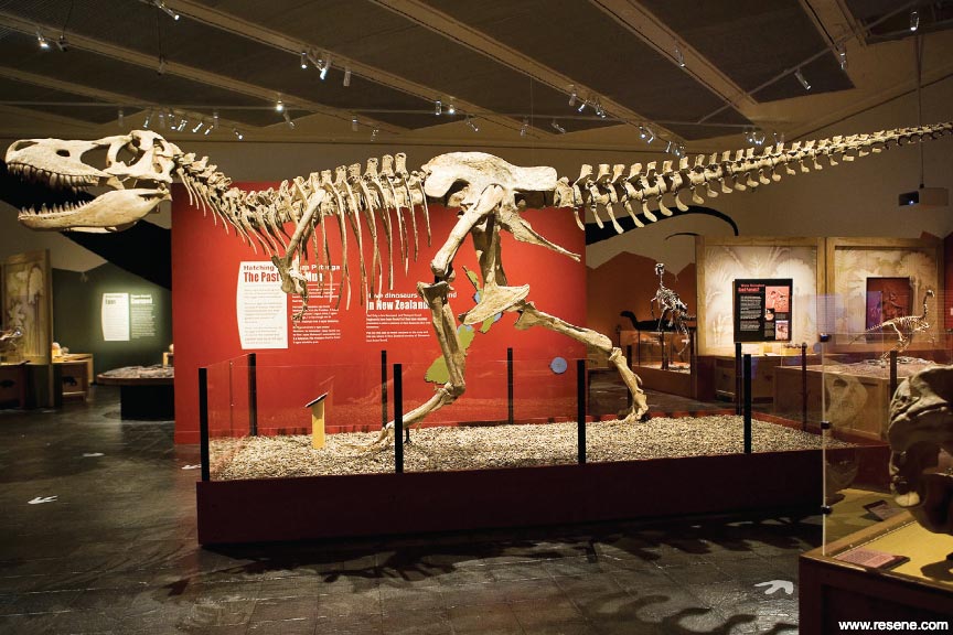 Dinousaur exhibit 2