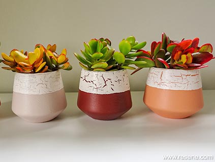 Pot your plants in your crackle pots