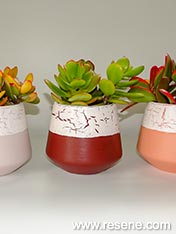 Make a crackle effect on a plant pot for your plants.