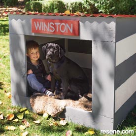 Build a dog kennel