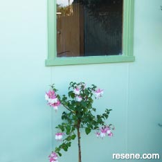 How to replace a rotten wooden shed window