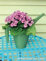 Turn a plastic watering jug into a planter for potted colour