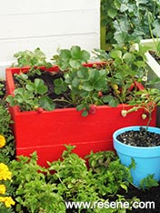 Make a planter box