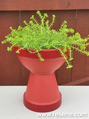 Make a terracotta planter