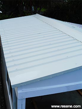 Paint a shed roof